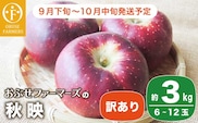 【訳あり】 秋映 約3kg 6〜12玉 ［おぶせファーマーズ］ 2025年9月下旬〜10月中旬発送