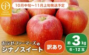 【訳あり】 シナノスイート 約3kg 6〜12玉 ［おぶせファーマーズ］ 2025年10月中旬〜11月上旬発送