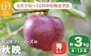 秋映 秀以上 約3kg 6〜12玉 ［おぶせファーマーズ］  2025年9月下旬〜10月中旬発送