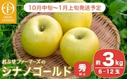 シナノゴールド 秀以上 約3kg 6〜12玉 ［おぶせファーマーズ］ 2025年10月中旬〜2026年1月上旬発送