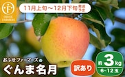 【訳あり】ぐんま名月 約3kg 6～12玉 ［ おぶせファーマーズ ］ 2025年11月上旬～12月下旬発送