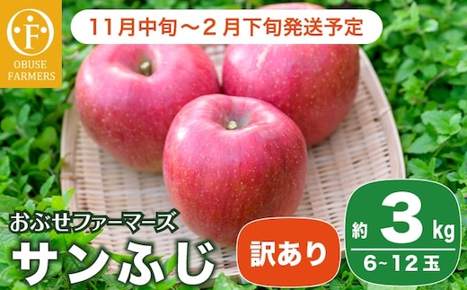 【訳あり】 サンふじ 約3kg 6～12玉［おぶせファーマーズ］ 不揃い 規格外 家庭用 りんご 林檎 リンゴ 果物 フルーツ ふじ 長野 信州 数量限定 【2025年11月中旬～2026年2月下旬発送】