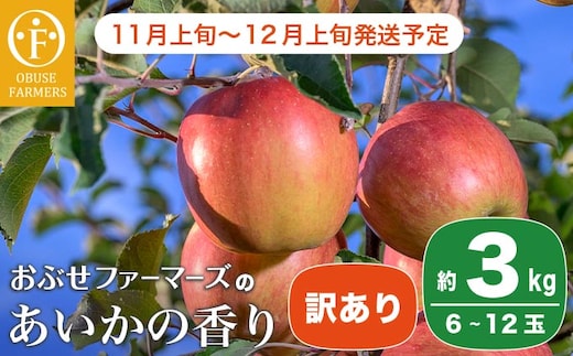 【訳あり】あいかの香り 約3kg 6～12玉 ［おぶせファーマーズ］ 2025年11月上旬～12月上旬発送