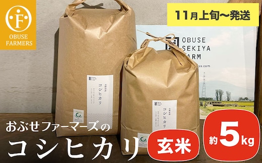 コシヒカリ 玄米 約5kg ［ おぶせファーマーズ ］【2025年11月上旬～発送】 