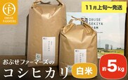 コシヒカリ 白米  約5kg ［ おぶせファーマーズ ］【2025年11月上旬～発送】 