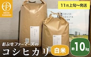 コシヒカリ 白米  約10kg ［ おぶせファーマーズ ］【2025年11月上旬～発送】 