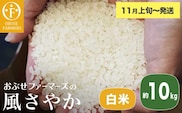 風さやか 白米  約10kg ［ おぶせファーマーズ ］【2025年11月上旬～発送】 