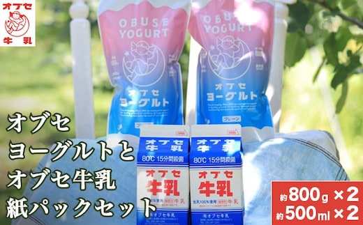 オブセヨーグルト (プレーン) 2個とオブセ牛乳 500ml 紙パック 2本 セット［オブセ牛乳］