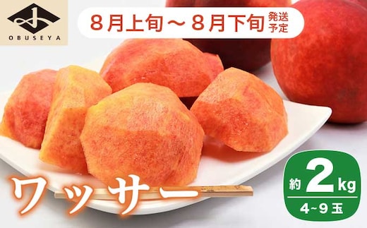 ワッサー 約2kg 4～9玉［小布施屋］ 2026年8月上旬～8月下旬発送