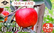 長野県産 旬のりんご 約3kg 6～12玉 ［小布施屋］  【2025年10月～2026年2月発送】