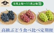 ［3回定期便］ 高級ぶどう食べ比べ定期便 約1kg × 3回 合計約3kg ［小布施屋］ 2025年9月上旬～11月上旬発送