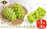秋と冬のシャインマスカット2回定期便 約1kg × 2回 合計 約2kg ［小布施屋］ 2025年10月～12月発送