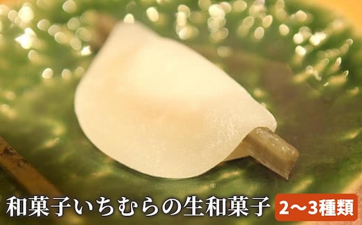 手作り 和菓子いちむらの生和菓子 12個前後 ［和菓子いちむら］和菓子 上生菓子 お菓子 お茶席 お祝い スイーツ 長野 信州 小布施 お取り寄せ 詰め合わせ 詰合せ