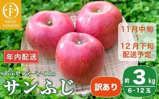 【訳あり】【年内配送】 サンふじ 約3kg 6～12玉 ［おぶせファーマーズ］ 年内発送 果物 フルーツ りんご 不揃い 規格外 家庭用 林檎 リンゴ ふじ 長野県 信州 数量限定 2025 令和7年産 【2025年11月中旬～12月下旬配送】 12月15日決済確定分まで年内配送