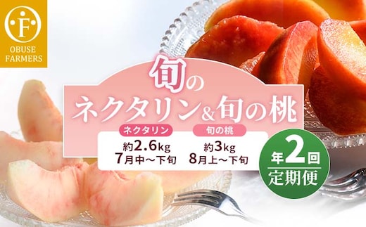 [2回定期便] 旬のネクタリン＆旬の桃 約2.6～3kg 食べ比べ 年2回定期便 ［おぶせファーマーズ］ネクタリン 白桃 フルーツ 果物 冷蔵便 クール便 長野県産 信州産 小布施 令和8年産【2026年7月中旬～8月下旬発送】