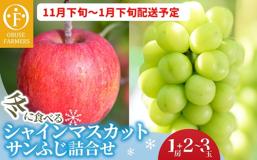 冬に食べるシャインマスカットとサンふじ詰合せ 1房（約500g） 2〜3玉［おぶせファーマーズ］ ぶどう りんご 林檎 リンゴ 果物 フルーツ 長野 信州 数量限定 令和7年産【2025年11月下旬〜2026年1月下旬発送】