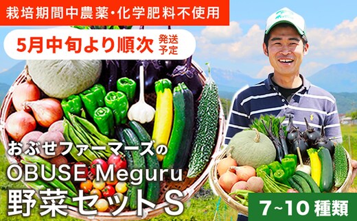 ［栽培期間中農薬・化学肥料不使用 ］OBUSE Meguru 野菜セット S 7～10種類 ［おぶせファーマーズ］野菜 詰め合わせ おまかせ やさい 詰合せ お楽しみ 長野県産 信州 令和7年産 【2025年5月中旬より順次発送】