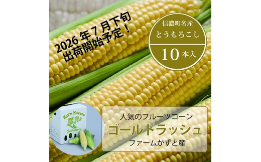 2026年夏のご予約受付開始！ 信濃町名産とうもろこし『ファームかずとのゴールドラッシュ 10本セット』粒皮が薄く生でも食べられる、フルーツを凌ぐほどの甘いとうもろこし 朝採れを農場から直送 令和8年7月下旬～8月下旬出荷分 先行予約【長野県信濃町ふるさと納税】 