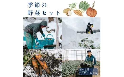 季節の野菜セット（3～5種）冬期・数量限定｜寒じめほうれん草、雪中にんじんといった雪まち野菜など、雪国ならではのお野菜を、その時一番美味しい旬のものを厳選しお届けします。1月下旬から2月上旬発送予定 道の駅しなの【長野県信濃町ふるさと納税】