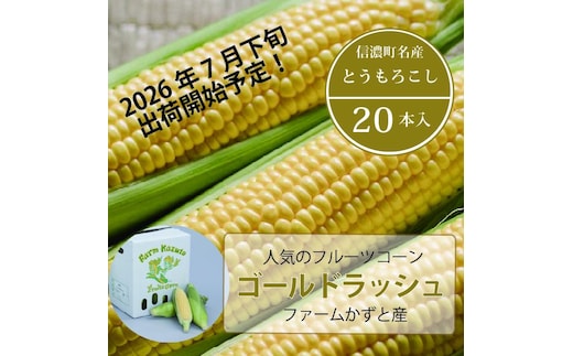 2026年夏のご予約受付開始！ 信濃町名産とうもろこし『ファームかずとのゴールドラッシュ 20本セット』粒皮が薄く生でも食べられる、フルーツを凌ぐほどの甘いとうもろこし 朝採れを農場から直送 令和8年7月下旬～8月下旬出荷分 先行予約【長野県信濃町ふるさと納税】