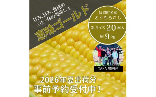 2026年夏の早期予約受付開始！TAKA農園『恵味（めぐみ）ゴールド』2Lサイズ（1本450ｇ相当）×20本セット、約9kg｜生でも食べられる信濃町名産とうもろこし／スイートコーンの人気品種 令和8年7月下旬～8月下旬に出荷予定 【長野県信濃町ふるさと納税】