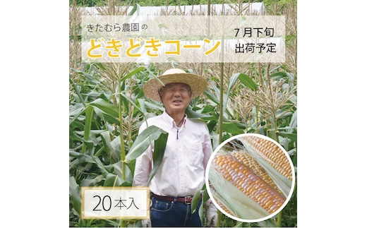 きたむら農園『どきどきコーン』×20本セット（約8～8.5kg相当）2025年夏出荷分 先行予約開始！ 信濃町名産とうもろこし／スイートコーンの新定番品種、申し込み受付中！ 令和7年7月下旬～8月下旬に随時出荷 【長野県信濃町ふるさと納税】