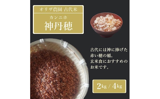 【ふるさと納税】残りわずか！オリザ農園 自然栽培の古代米「神丹穂(カンニホ)米」2kg 炊き方も簡単、雑穀のように白米に混ぜるだけ 美味しく簡単に栄養をプラス【長野県信濃町】