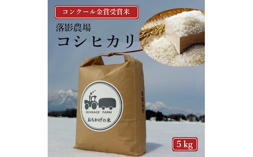 【数量限定】令和7年産新米 落影農場の「信濃町産コシヒカリ５キロ」2025年11月半ば以降出荷｜コンクール金賞受賞米【長野県信濃町ふるさと納税】