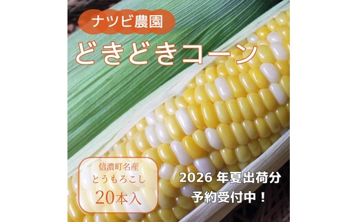 2026年夏の早期予約受付開始！ナツビ農園『どきどきコーン』20本セット（約9kg相当）生でも食べられる信濃町名産とうもろこし／白と黄色のバイカラー品種 令和8年7月下旬～8月下旬に出荷予定【長野県信濃町ふるさと納税】
