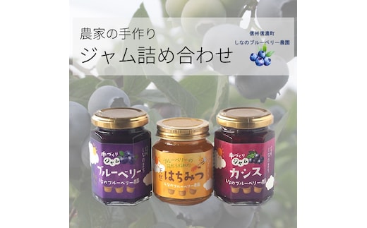 しなのブルーベリー農園「信濃町産ジャム詰め合わせ」 ブルーベリージャム150g、カシスジャム150g、ブルーベリーの花の非加熱はちみつ160gの3個セット【長野県信濃町】