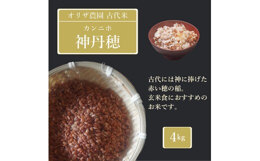 【ふるさと納税】オリザ農園 自然栽培の古代米「神丹穂(カンニホ)米」4kg(2kg×2袋) 2025年産【長野県信濃町】