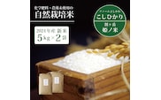 信濃町産コシヒカリ「割ケ岳 姫乃米 10kg（5kg×2）」令和6年度の新米 ｜ 農薬未使用の自然米 【2024年11月以降発送】長野県信濃町ふるさと納税