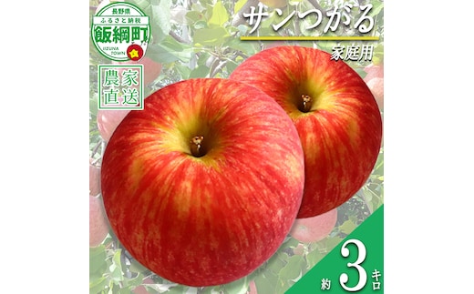 りんご サンつがる 家庭用 3kg 永野農園 沖縄県への配送不可 2026年8月下旬頃から2026年9月中旬頃まで順次発送予定 令和8年度収穫分 信州 果物 フルーツ リンゴ 林檎 長野 予約 農家直送 長野県 飯綱町 [0487]