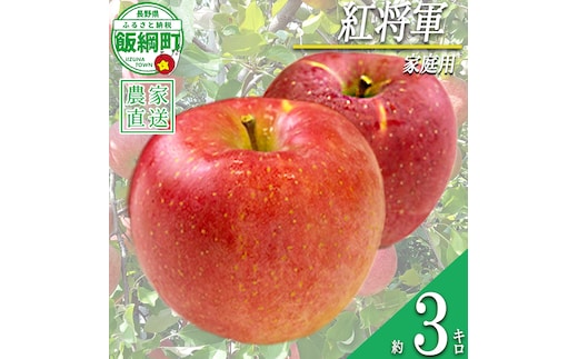 りんご 紅将軍 家庭用 3kg 永野農園 沖縄県への配送不可 2026年9月下旬頃から2026年10月上旬頃まで順次発送予定 令和8年度収穫分 信州 果物 フルーツ リンゴ 林檎 長野 予約 農家直送 長野県 飯綱町 [0798]