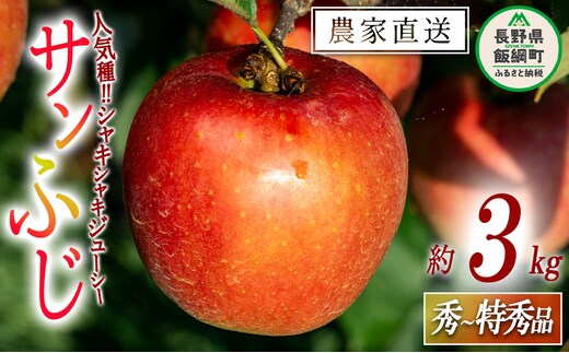 りんご サンふじ 秀 特秀 3kg 永野農園 沖縄県への配送不可 2025年12月上旬頃から2026年2月上旬頃まで順次発送予定 令和7年度収穫分 信州 果物 フルーツ リンゴ 林檎 長野 予約 農家直送 長野県 飯綱町 [0488]