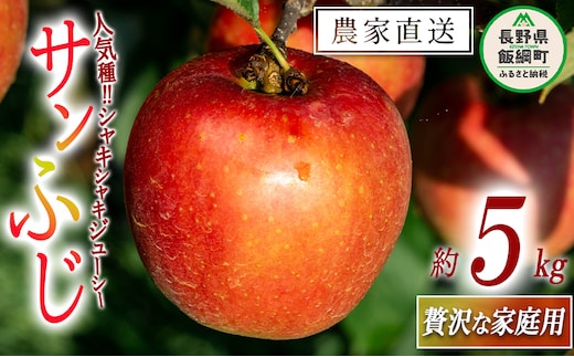 りんご サンふじ 贅沢な 家庭用 5kg 永野農園 沖縄県への配送不可 2025年12月上旬頃から2026年2月上旬頃まで順次発送予定 令和7年度収穫分 信州 果物 フルーツ リンゴ 林檎 長野 予約 農家直送 長野県 飯綱町 [0489]