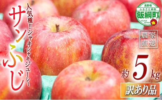 【 年明け発送 】 りんご サンふじ 訳あり 5kg 永野農園 沖縄県への配送不可 2026年1月上旬頃から2026年2月中旬頃まで順次発送予定 令和7年度収穫分 信州 果物 フルーツ リンゴ 林檎 長野 予約 農家直送 長野県 飯綱町 [0600]