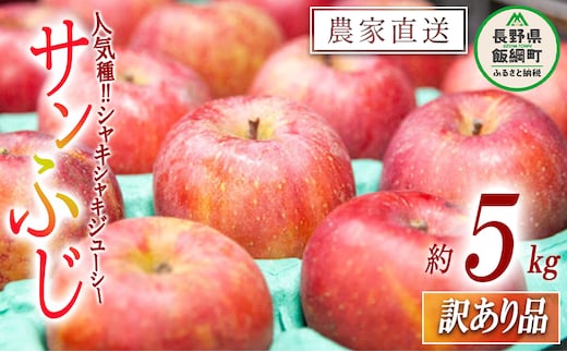 りんご サンふじ 訳あり 5kg 永野農園 沖縄県への配送不可 2025年12月上旬頃から2026年2月上旬頃まで順次発送予定 令和7年度収穫分 信州 果物 フルーツ リンゴ 林檎 長野 予約 農家直送 長野県 飯綱町 [1250]