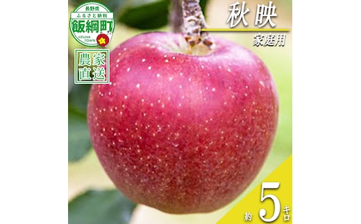りんご 秋映 家庭用 5kg 丸山りんご園 沖縄県への配送不可 2026年10月上旬頃から2026年10月下旬頃まで順次発送予定 令和8年度収穫分 信州 果物 フルーツ リンゴ 林檎 長野 予約 農家直送 長野県 飯綱町 [0707]