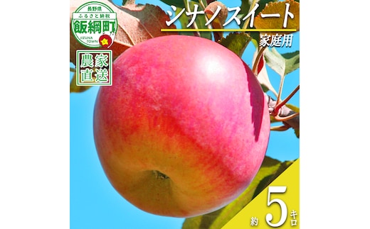 りんご シナノスイート 家庭用 5kg 丸山りんご園 沖縄県への配送不可 2026年10月上旬頃から2026年11月上旬頃まで順次発送予定 令和8年度収穫分 信州 果物 フルーツ リンゴ 林檎 長野 予約 農家直送 長野県 飯綱町 [0398]