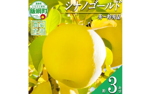 りんご シナノゴールド 秀 ～ 特秀 3kg 丸山りんご園 沖縄県への配送不可 2026年11月上旬頃から2026年12月上旬頃まで順次発送予定 令和8年度収穫分 信州 果物 フルーツ リンゴ 林檎 長野 予約 農家直送 長野県 飯綱町 [1002]