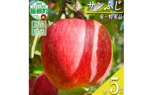 りんご サンふじ 秀 ～ 特秀 5kg 丸山りんご園 沖縄県への配送不可 2026年12月上旬頃から2027年1月上旬頃まで順次発送予定 令和8年度収穫分 信州 果物 フルーツ リンゴ 林檎 長野 予約 農家直送 長野県 飯綱町 [0264]