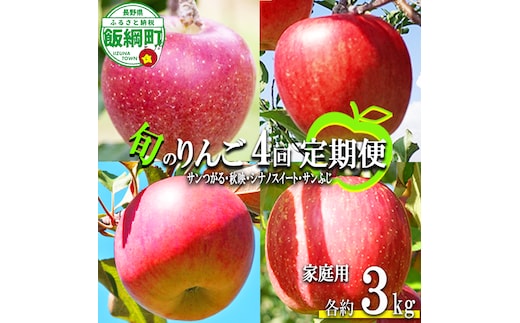 旬のりんご 【 定期便 】 家庭用 3kg × 4回 丸山りんご園 沖縄県への配送不可 2026年9月上旬頃から2026年12月中旬頃まで順次発送予定 令和8年度収穫分 信州 果物 フルーツ リンゴ 林檎 長野 予約 農家直送 長野県 飯綱町 [0709]