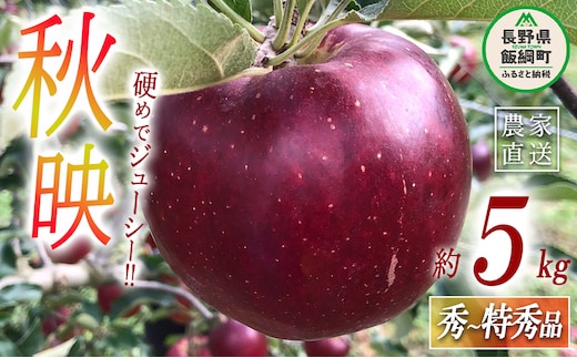 りんご 秋映 秀 〜 特秀 5kg 丸西農園 沖縄県への配送不可 2026年10月上旬頃から2026年10月中旬頃まで順次発送予定 令和8年度収穫分 特別栽培農産物 ( 除草剤 化学肥料 不使用 ) 信州 果物 フルーツ リンゴ 林檎 長野 予約 農家直送 長野県 飯綱町 [0506]