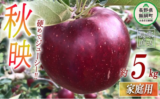 りんご 秋映 家庭用 5kg 丸西農園 沖縄県への配送不可 2026年10月上旬頃から2026年10月中旬頃まで順次発送予定 令和8年度収穫分 特別栽培農産物 ( 除草剤 化学肥料 不使用 ) 信州 果物 フルーツ リンゴ 林檎 長野 予約 農家直送 長野県 飯綱町 [0724]
