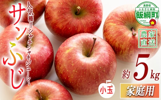 りんご サンふじ ( 小玉 ) 家庭用 5kg 沖縄県への配送不可 2026年12月中旬頃から2026年12月下旬頃まで順次発送予定 令和8度収穫分 静谷りんご園 信州の環境にやさしい農産物認証 減農薬栽培 長野県 飯綱町 [1289]
