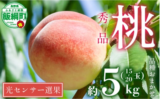 【 2026年 先行予約 】 桃 5kg 秀品 訳あり 《 品種おまかせ「 白鳳 」「 あかつき 」「 なつっこ 」いずれか1品種 》 光センサー選別品 【 予約 果物 くだもの もも フルーツ 長野 信州 クール便 】 沖縄県への配送不可 2026年8月上旬頃から2026年8月中旬頃まで順次発送予定 日時指定不可 令和8年度出荷分 長野県 飯綱町 [0055]
