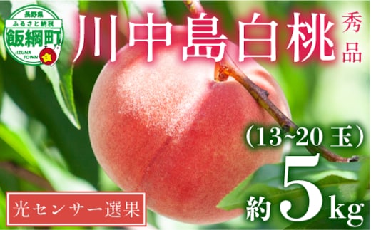 【 2026年 先行予約 】 桃 川中島白桃 5kg 秀品 光センサー選別品 糖度保証 【 予約 果物 くだもの もも モモ フルーツ 旬 長野 信州 川中島 】 沖縄県への配送不可 2026年8月下旬頃から2026年9月中旬頃まで順次発送予定 日時指定不可 令和8年度出荷分 長野県 飯綱町 [0054]