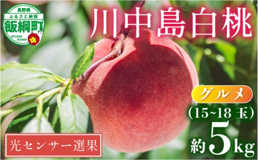 グルメ 桃 5kg （ 川中島白桃 ） 糖度13度以上 光センサー選別品沖縄県への配送不可 日時指定および不在指定不可 2025年8月下旬頃から2025年9月中旬頃まで順次発送予定 長野県 飯綱町 [0056]