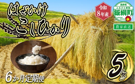 米 はぜかけ こしひかり 5kg × 6回 【 6か月 定期便 】( 令和8年産 ) 増田さんちのお米 2026年11月上旬頃から順次発送予定 コシヒカリ 白米 精米 お米 信州 予約 農家直送 長野県 飯綱町 [0642]